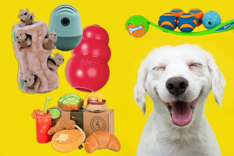 The 10 Best Dog Toys – Our Favorite&nbsp;Picks